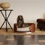 Wooden Frame Pet Bed with Rebound Sponge, Detachable Washable Dog Bed Cat Bed, All Season Universal Kennel for Small Medium Pets