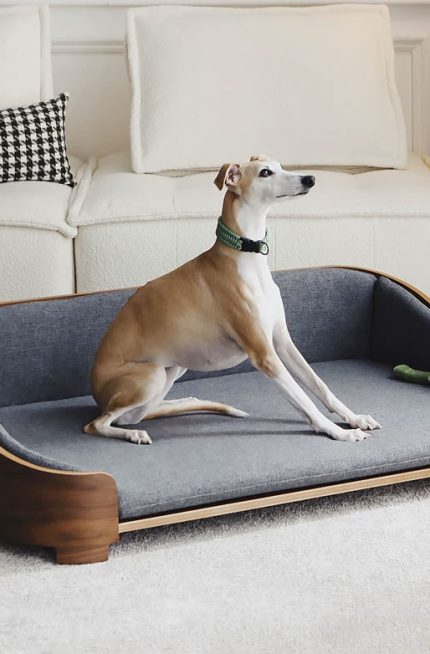 Luxury Designer Pet Bed for Large Dogs, Bentwood Elevated Dog Sofa with Washable Cushion