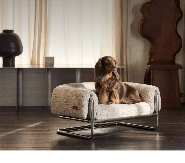 Bauhaus Metal Frame Pet Bed, Detachable & Washable Dog Bed & Cat Bed