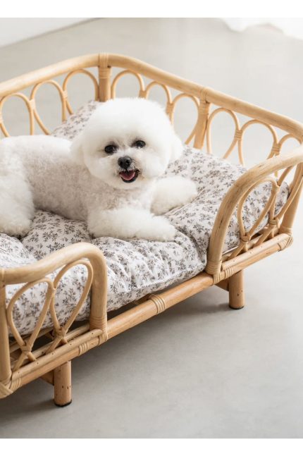 A Natural Rattan Pet Bed, Breathable Handwoven Dog & Cat Cooling Bed for Spring and Summer