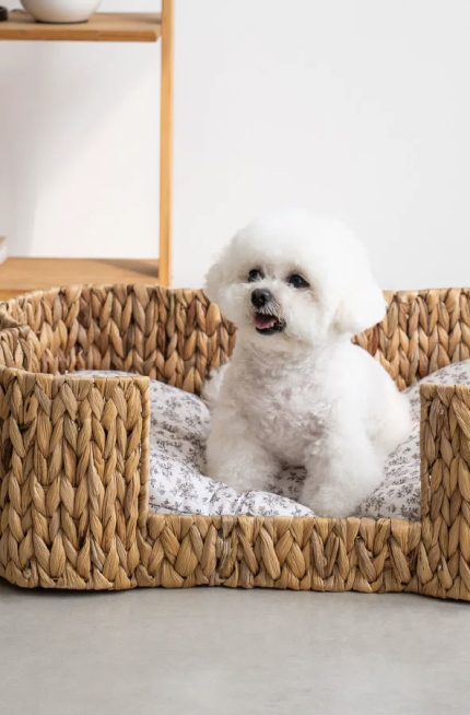 Handwoven Straw Pet Bed, Breathable Dog Bed & Cat Bed